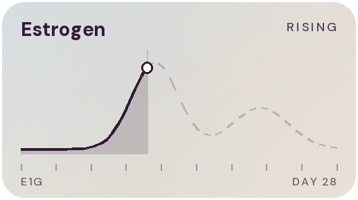 Estrogen rising