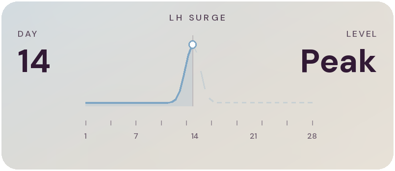 LH surge peak on day 14